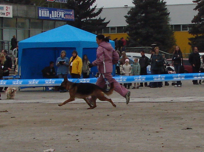  ККУ 2.11.08г..jpg