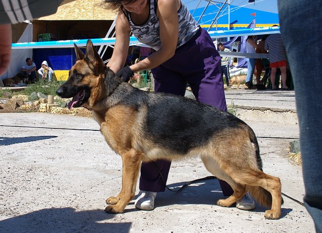  2010 1.jpg