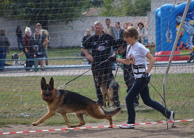  Рог ККУ CACIB 24.09.11г. 5.jpg