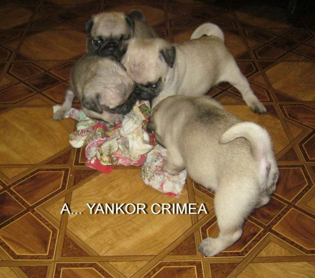 1 месяц и 8 дней 2.jpg