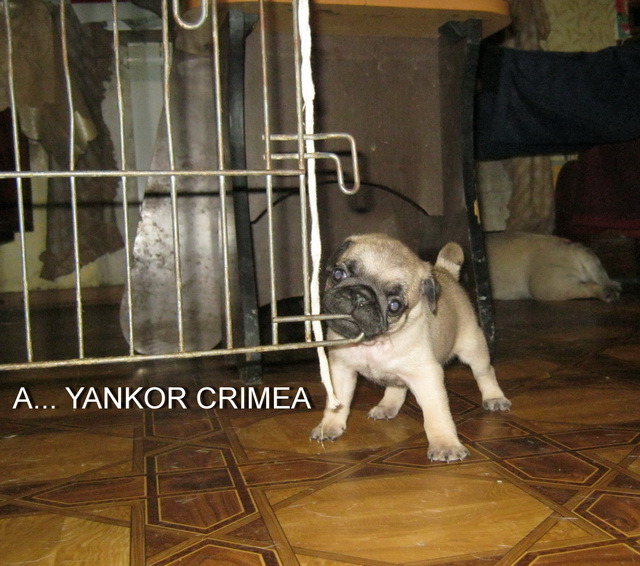 1 месяц и 8 дней 4.jpg