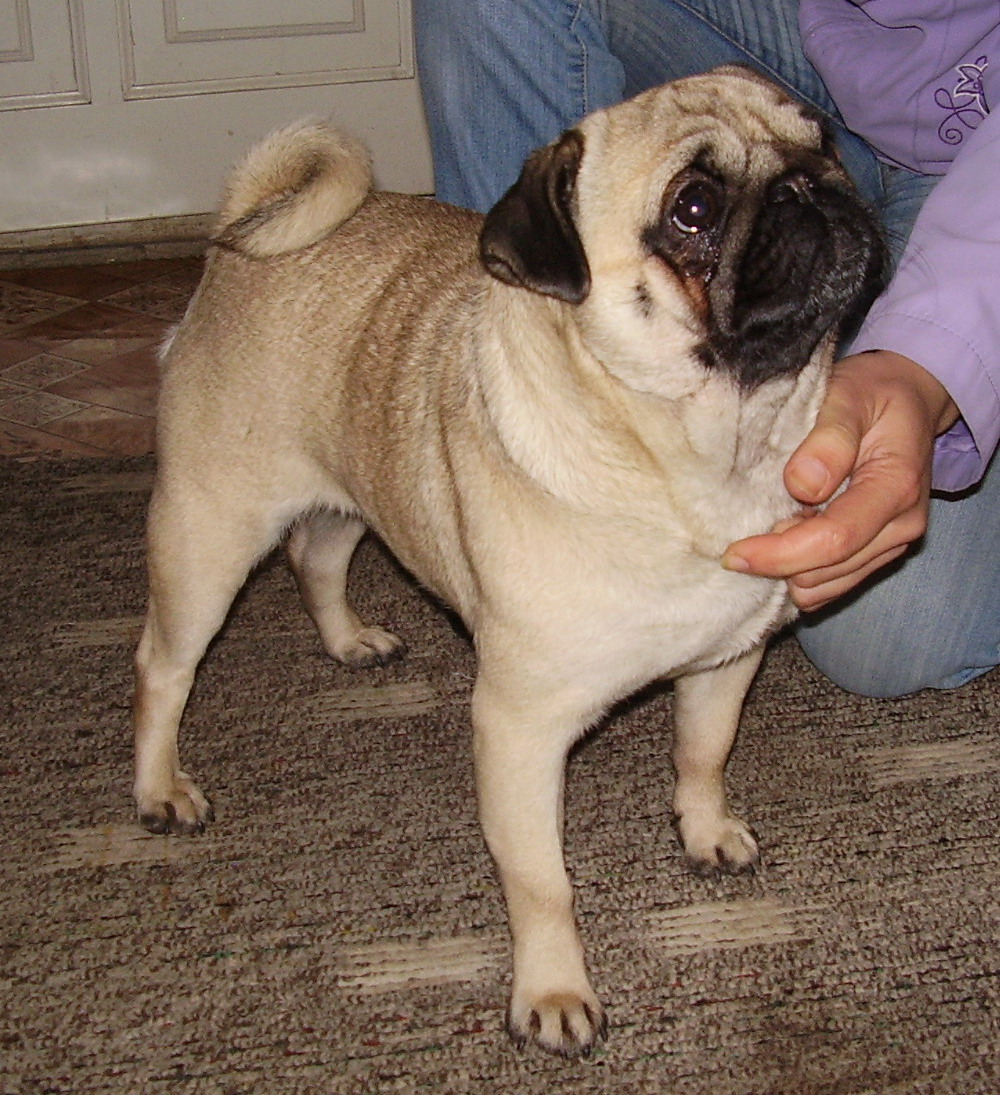 PA010043.jpg