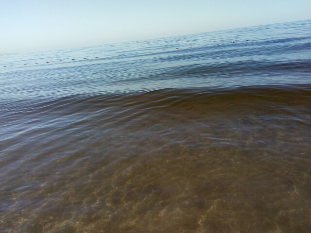 11.09.sea3_.jpg