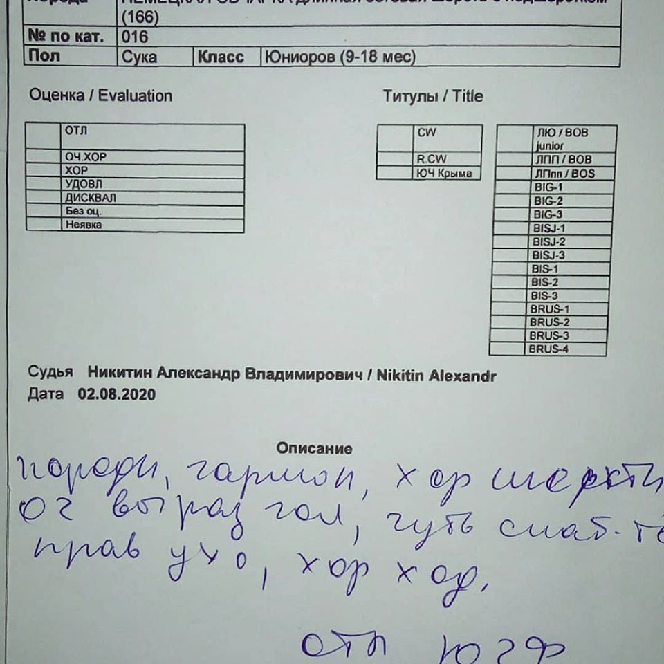 2.08.20_чф_8_описание.jpg