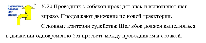 20.png