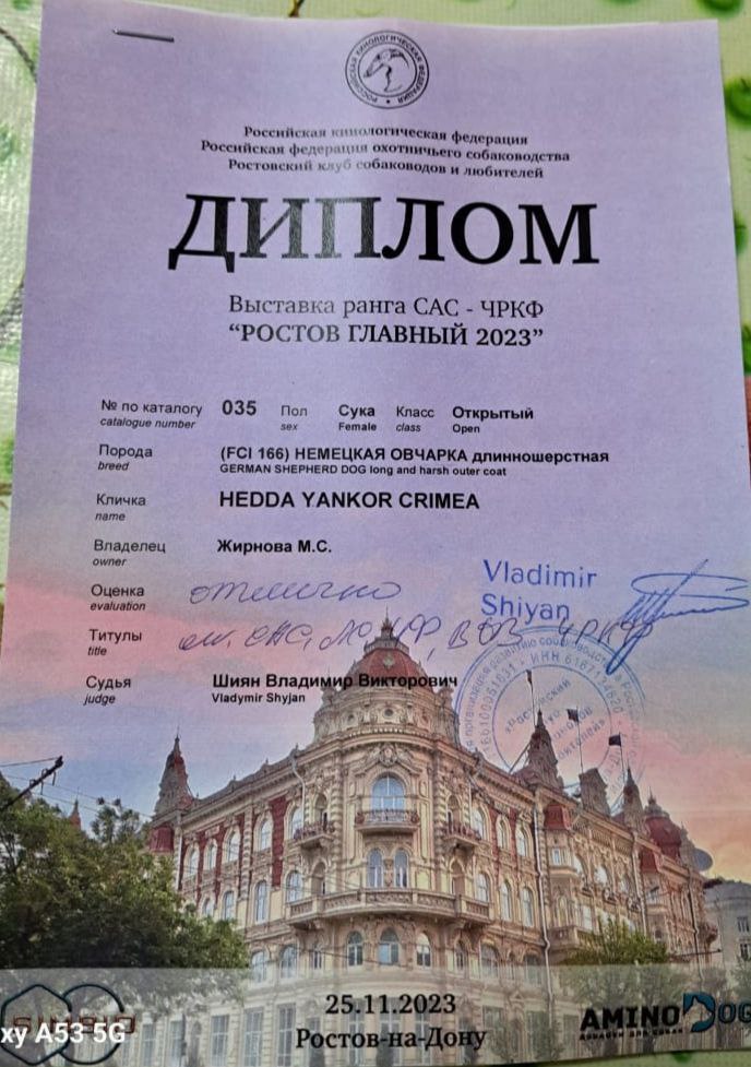 23.11.23_Ростов_диплом1.jpg