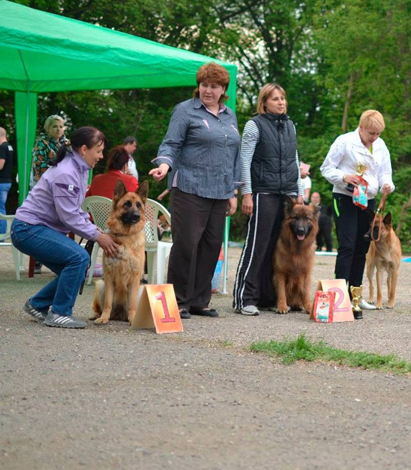 24.04.2016_СКОР_Симферополь_4.jpg