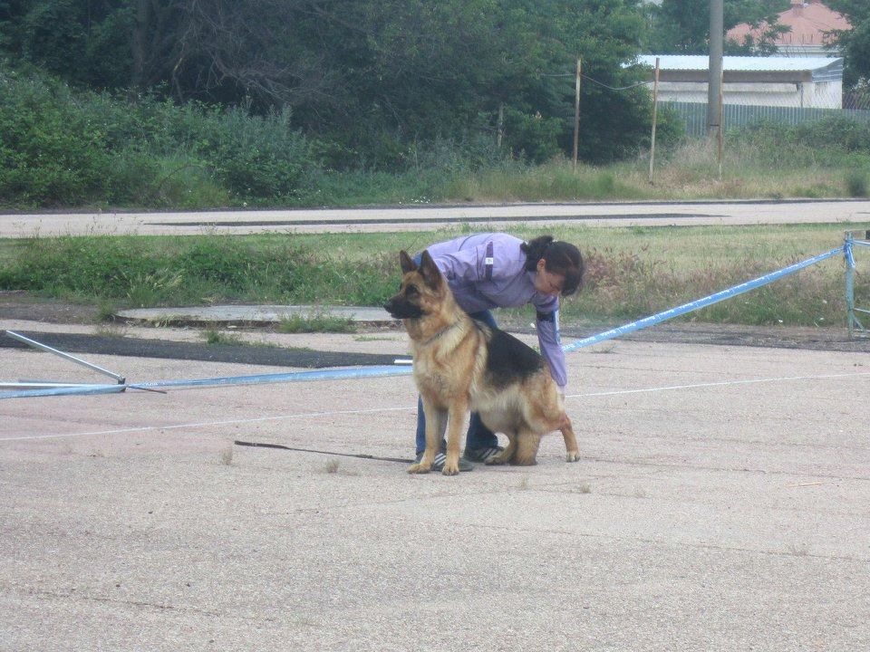 29.05.2016_СКОР_Севастополь_1.jpg