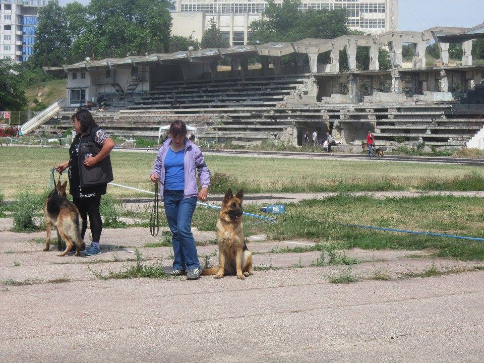 29.05.2016_СКОР_Севастополь_2.jpg