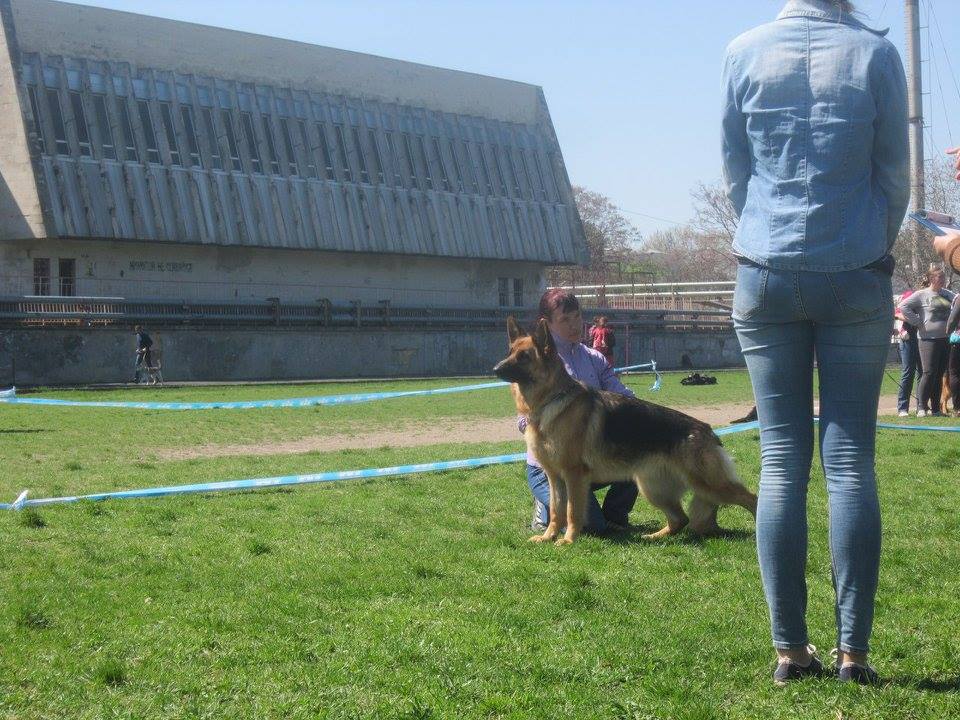 _РКС_16.04.2016_3.jpg