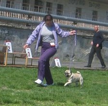 _РКФ_2.05.2015_6.jpg