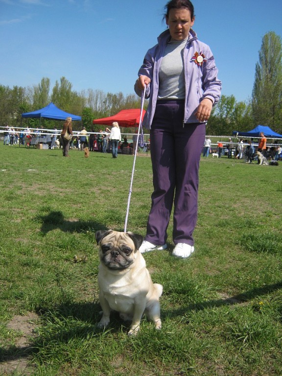 _РКФ_2.05.2015_8.jpg